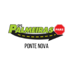 logo_site_palmeiras (1)